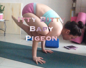 Itty Bitty Baby Pigeon