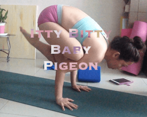 Itty Bitty Baby Pigeon