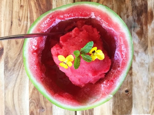 Easy 3 Ingredient Watermelon Sorbet