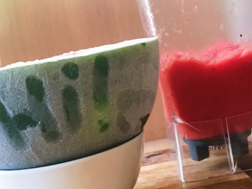 Easy 3 Ingredient Watermelon Sorbet Recipe