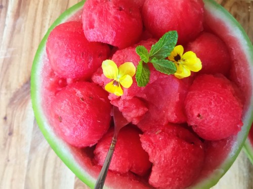 Easy 3 Ingredient Watermelon Sorbet for Summer Dessert Recipe