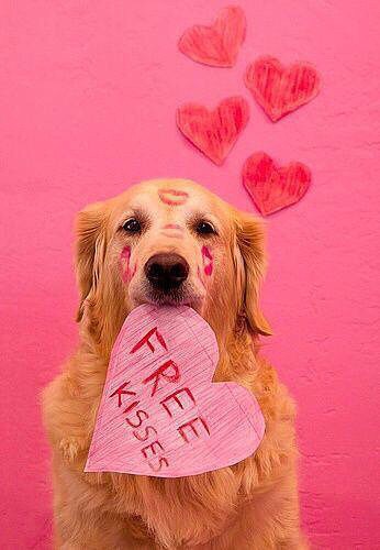 Puppy Love Free Kisses