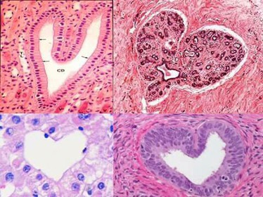 Bio Chemistry Romance Bio Chemistry Romance